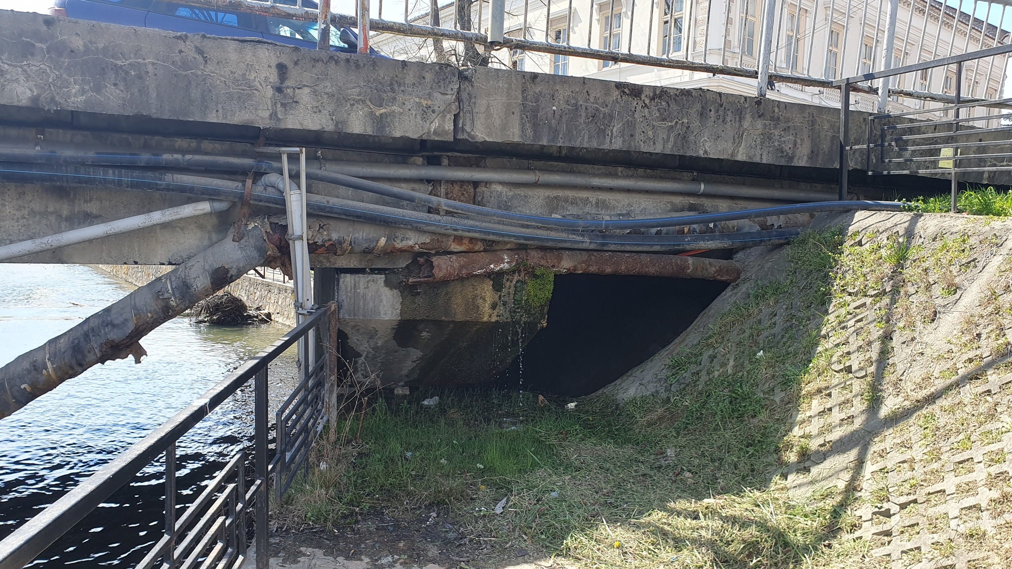 Kép
