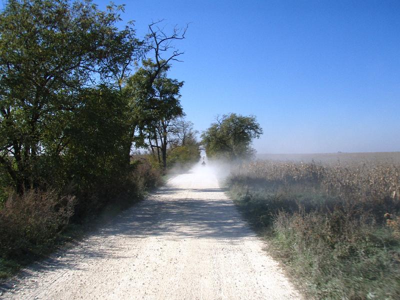 Kép