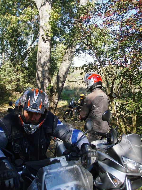 Kép