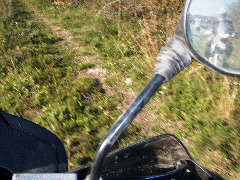 Kép