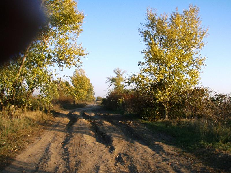 Kép