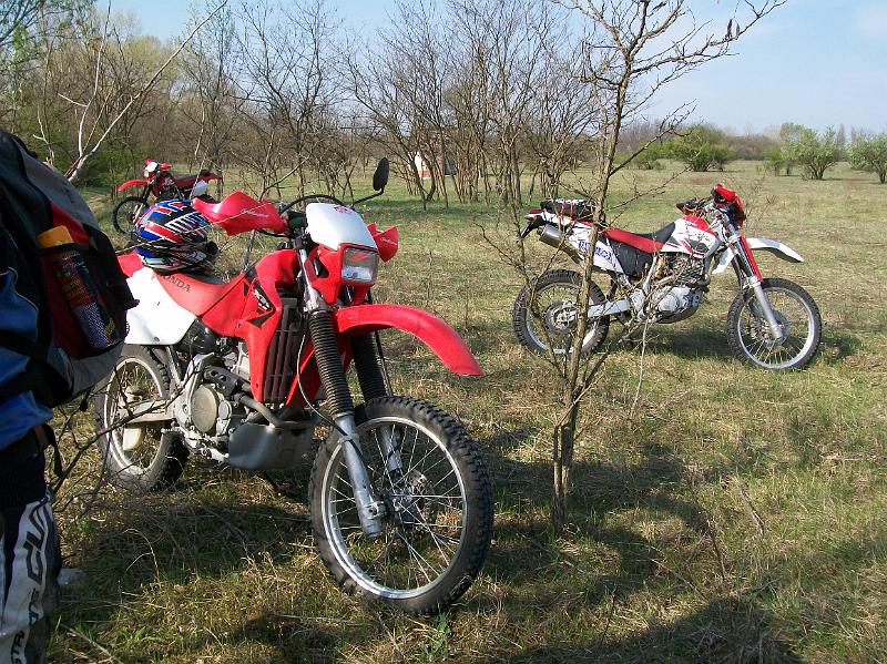 Kép