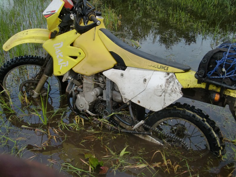 Kép