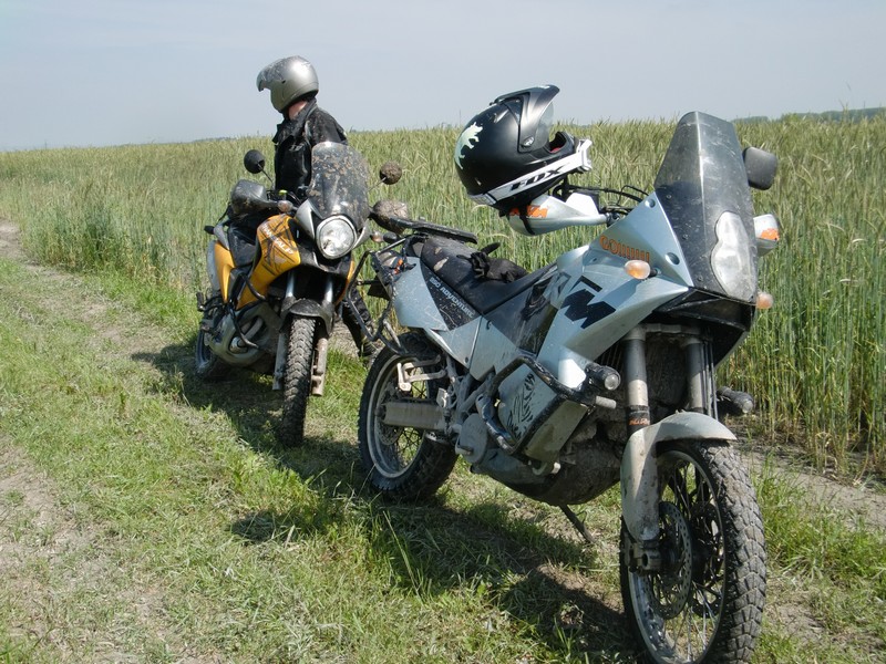 Kép