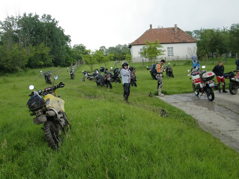 Kép