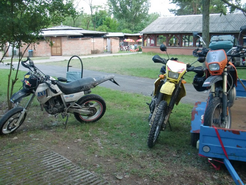 Kép
