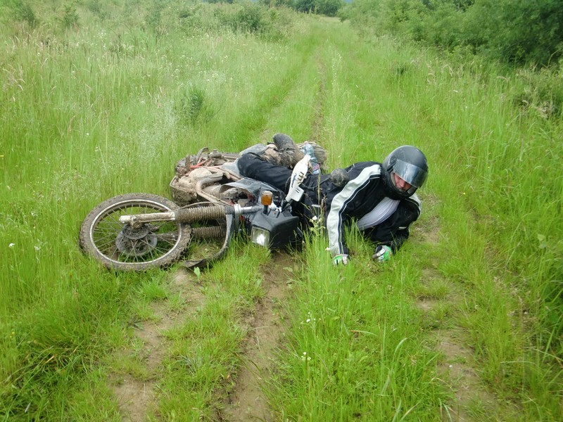 Kép
