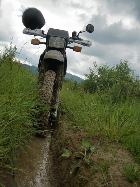 Kép