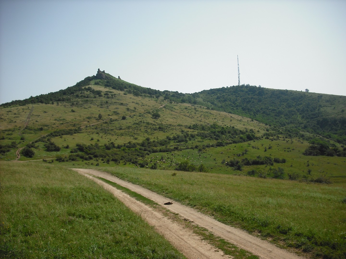 Kép