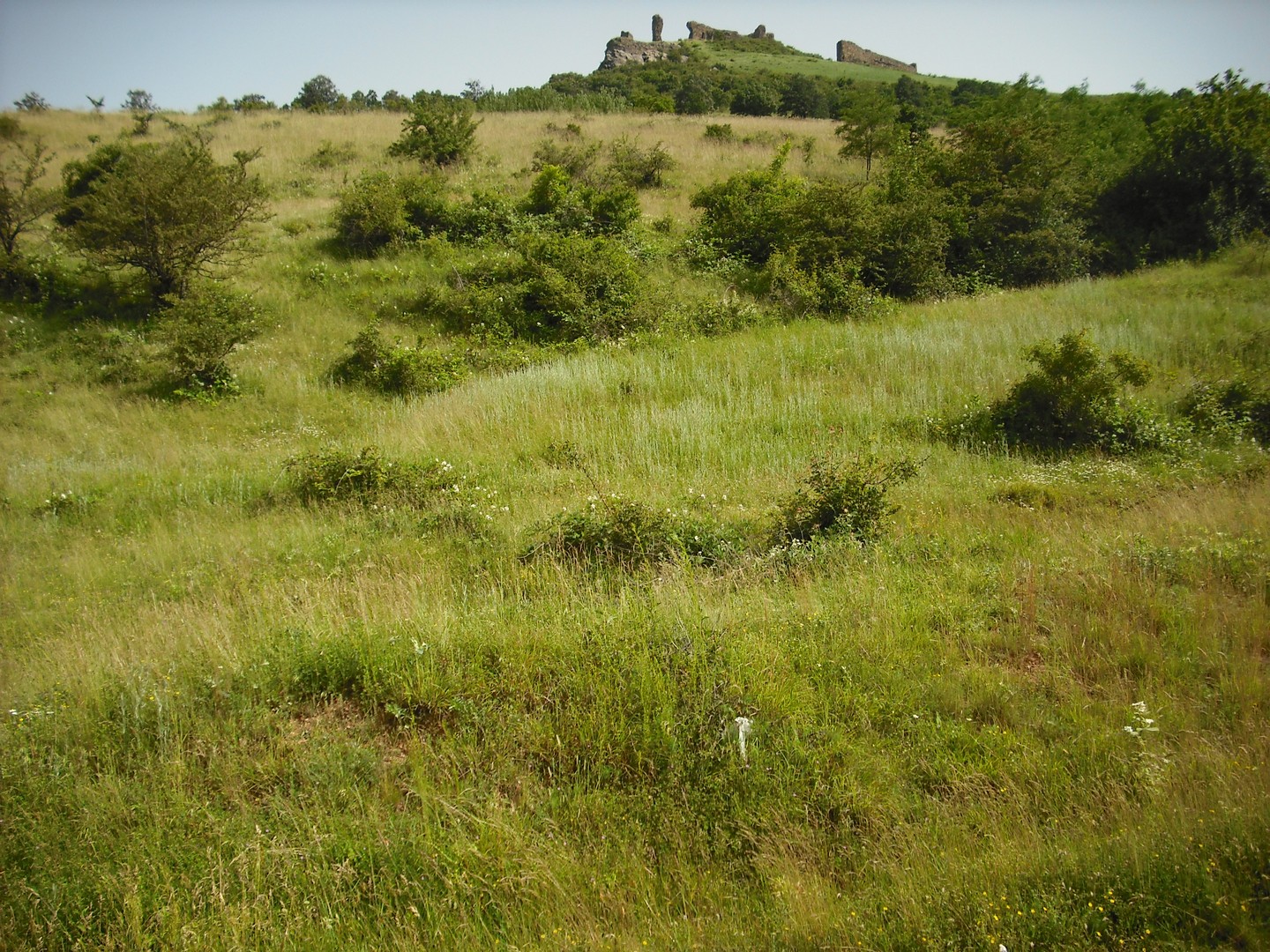 Kép