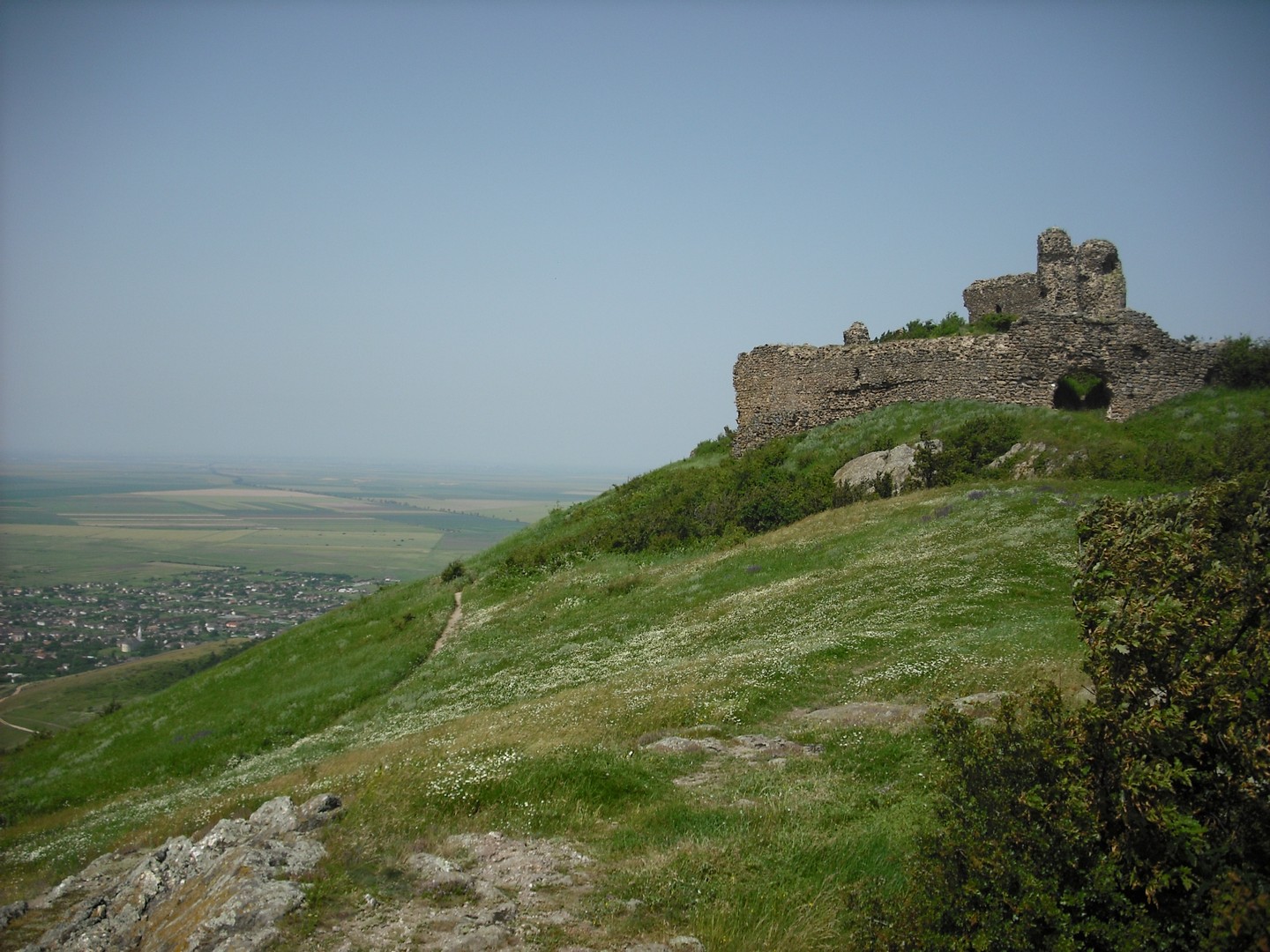 Kép