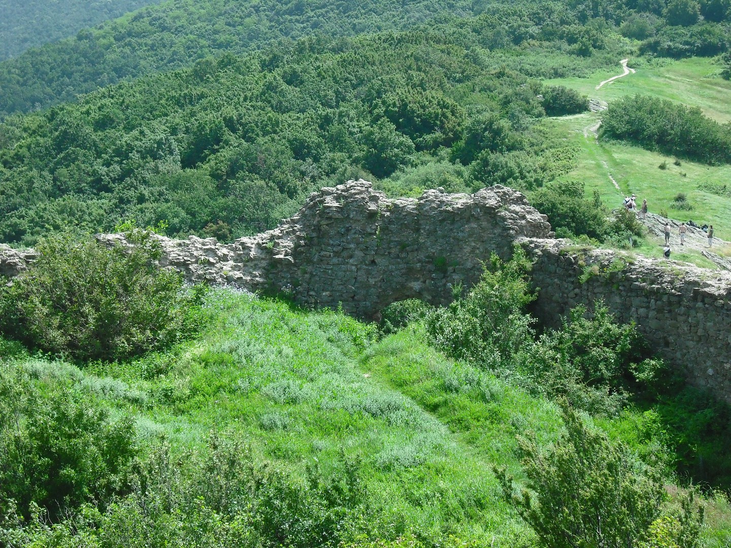 Kép