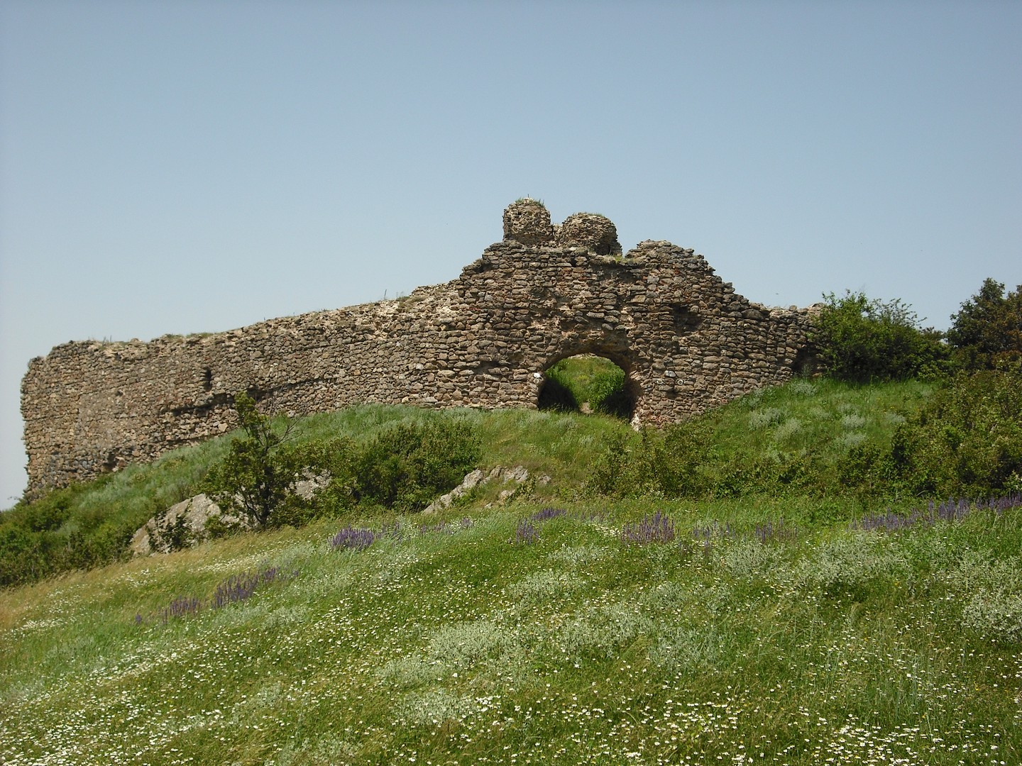 Kép