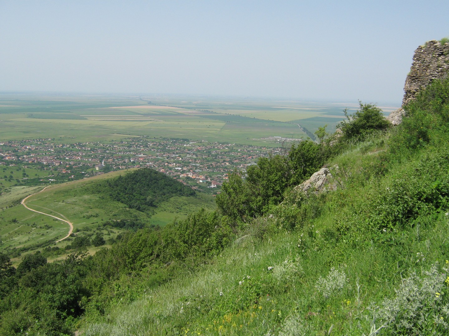 Kép