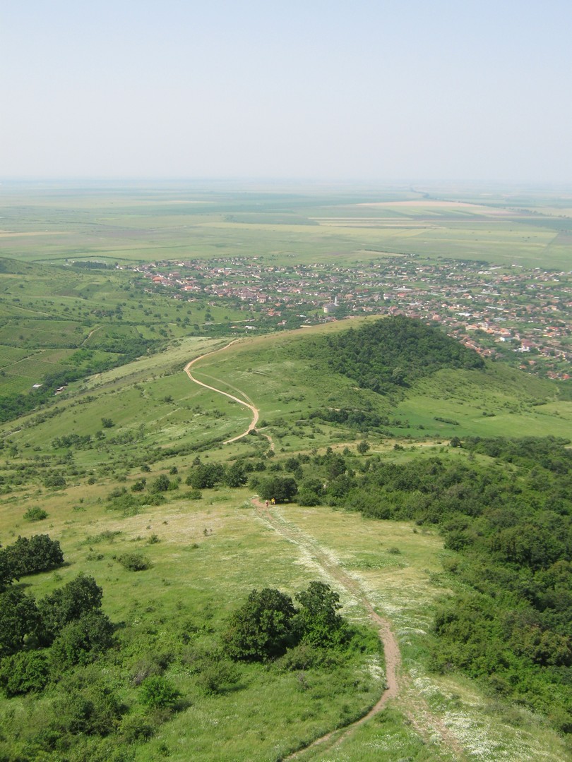 Kép