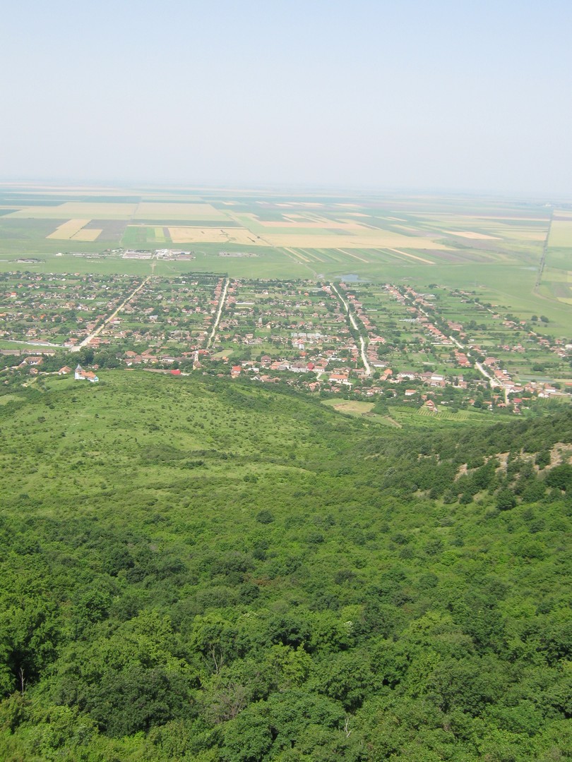 Kép