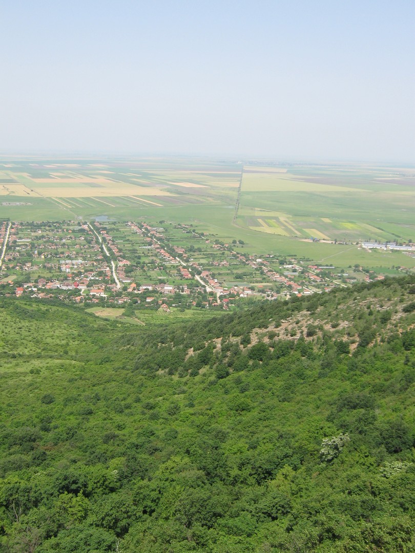 Kép