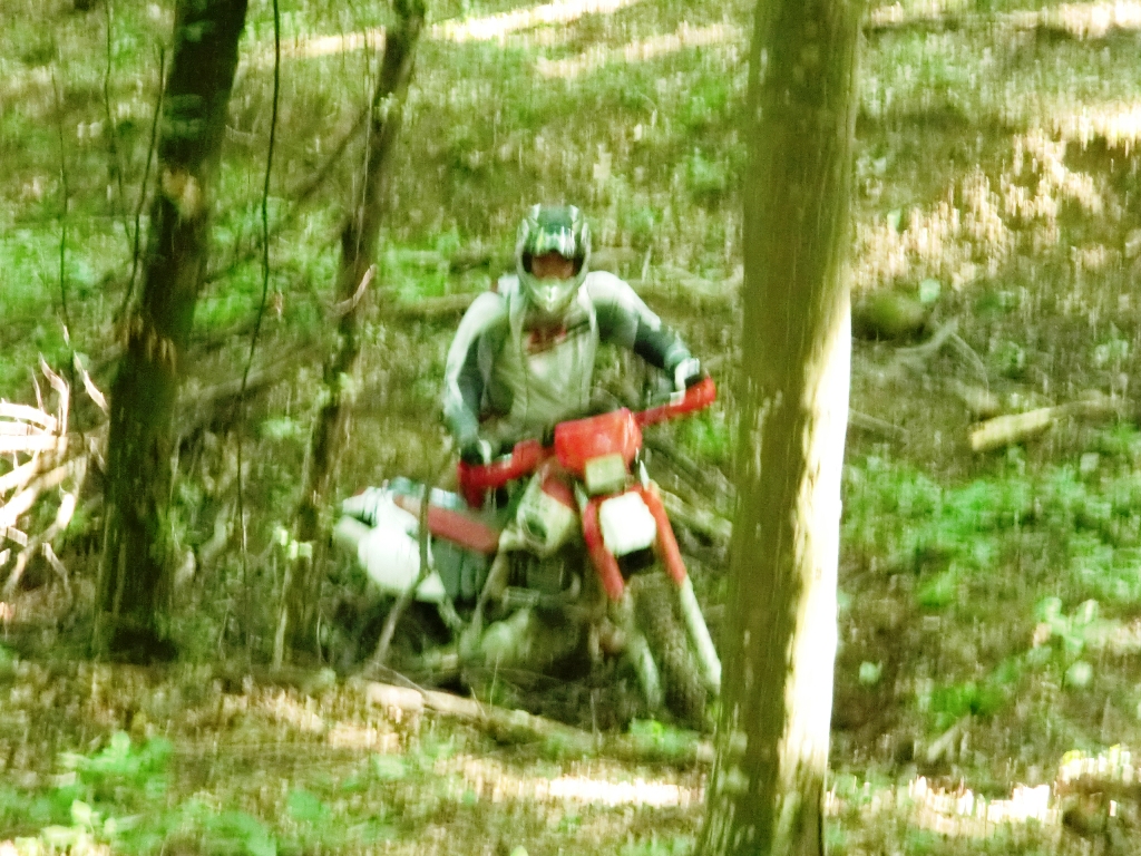 Kép