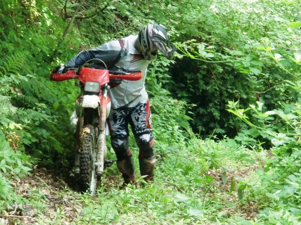 Kép