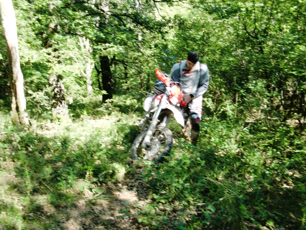 Kép