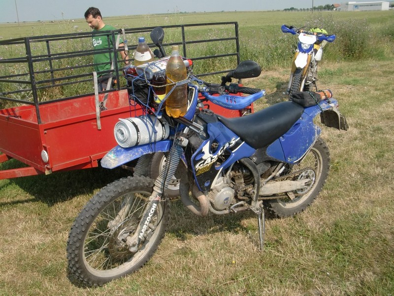 Kép