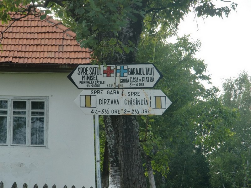 Kép
