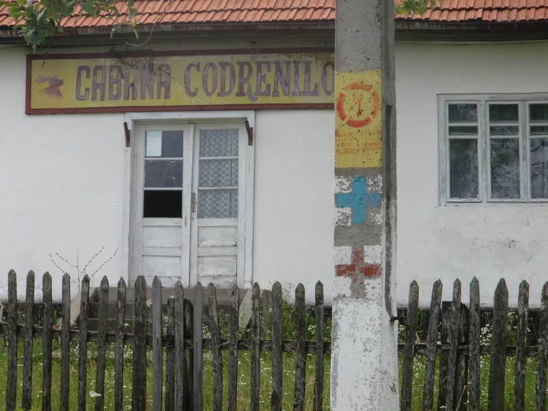 Kép