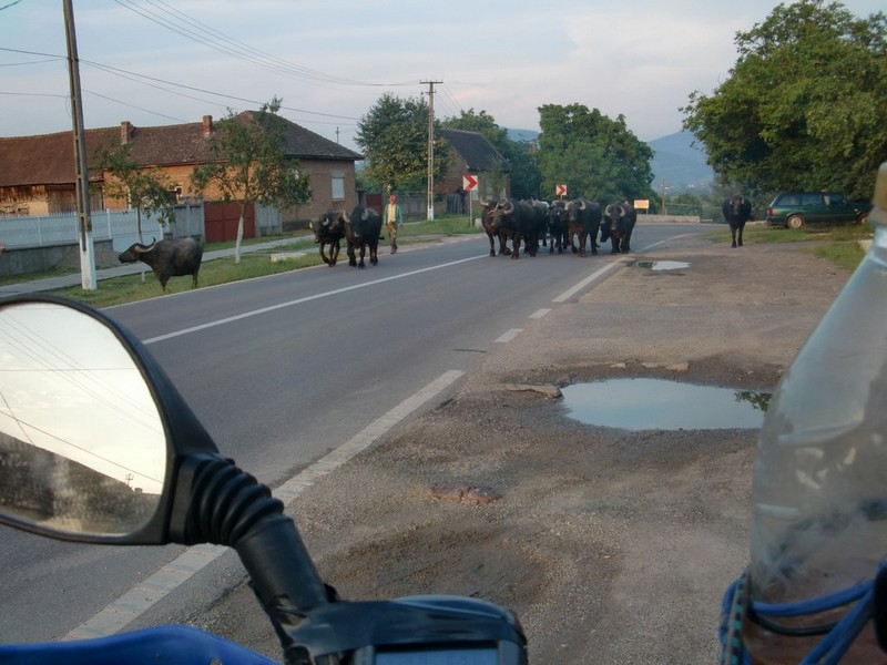 Kép