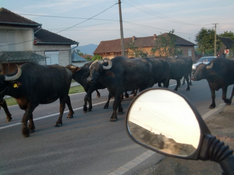 Kép