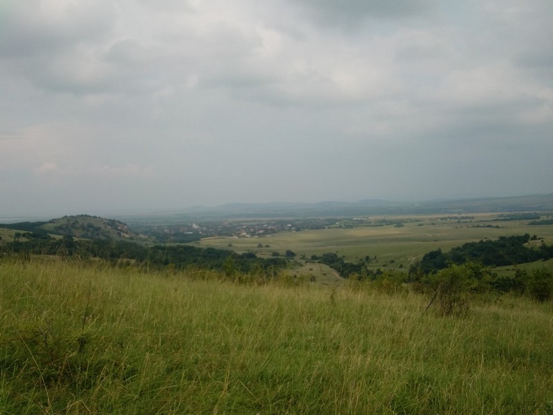Kép