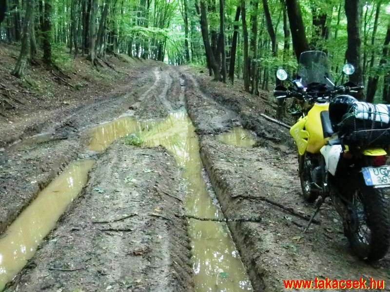 Kép