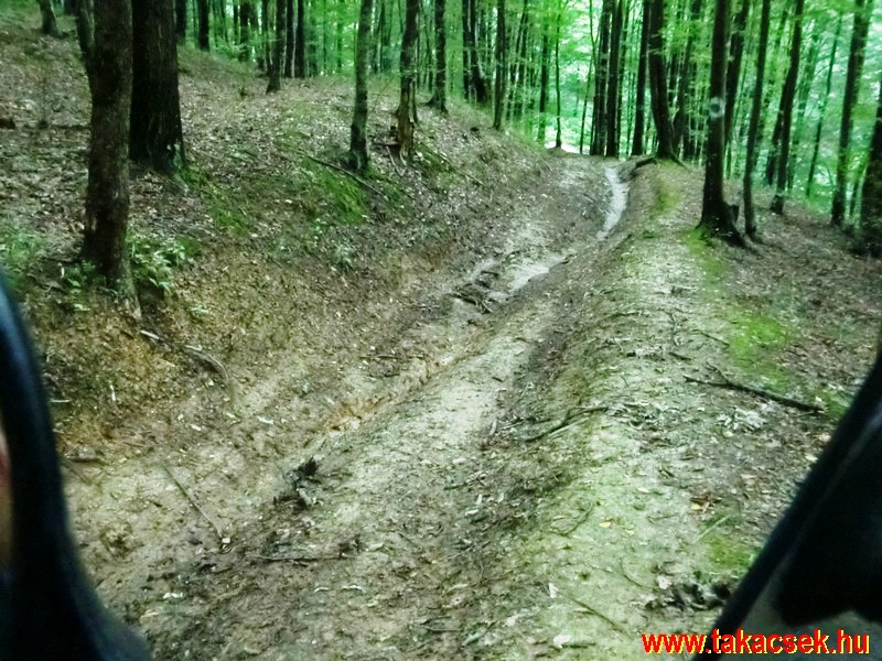 Kép