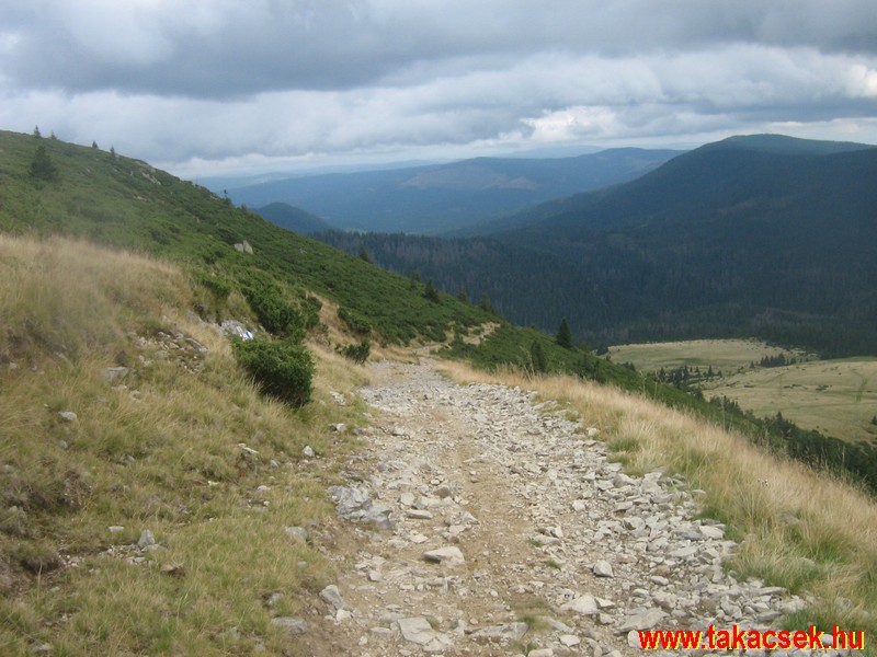Kép
