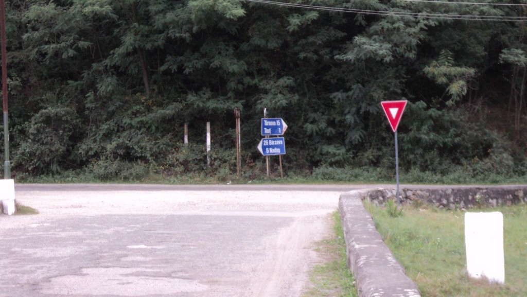 Kép