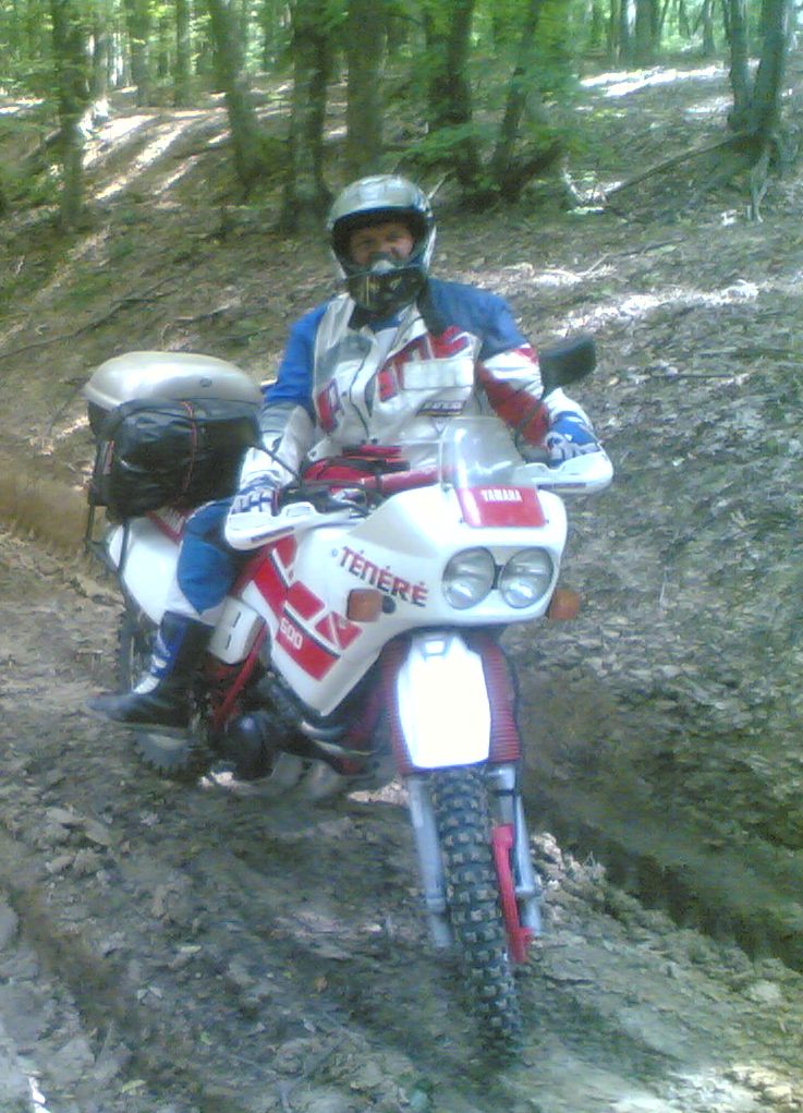 Kép