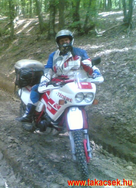Kép