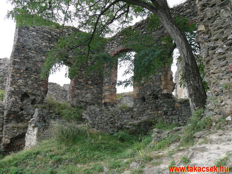 Kép