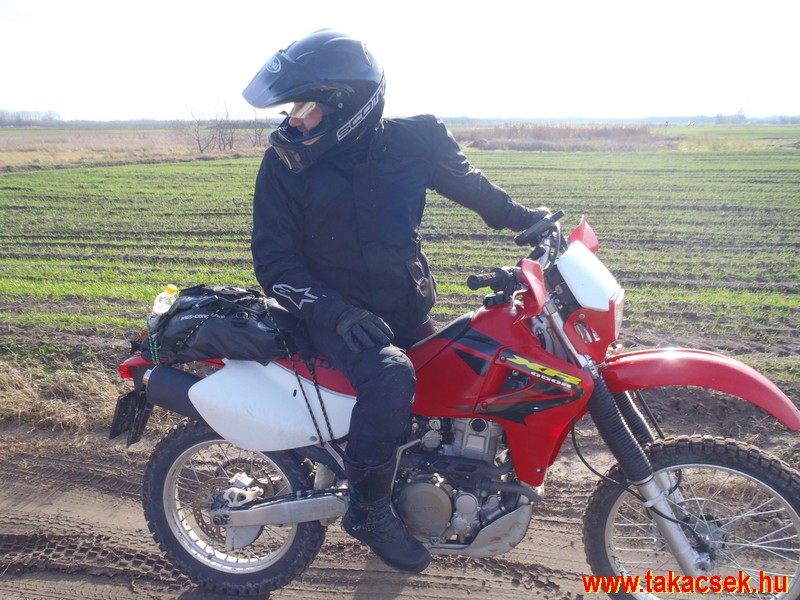 Kép