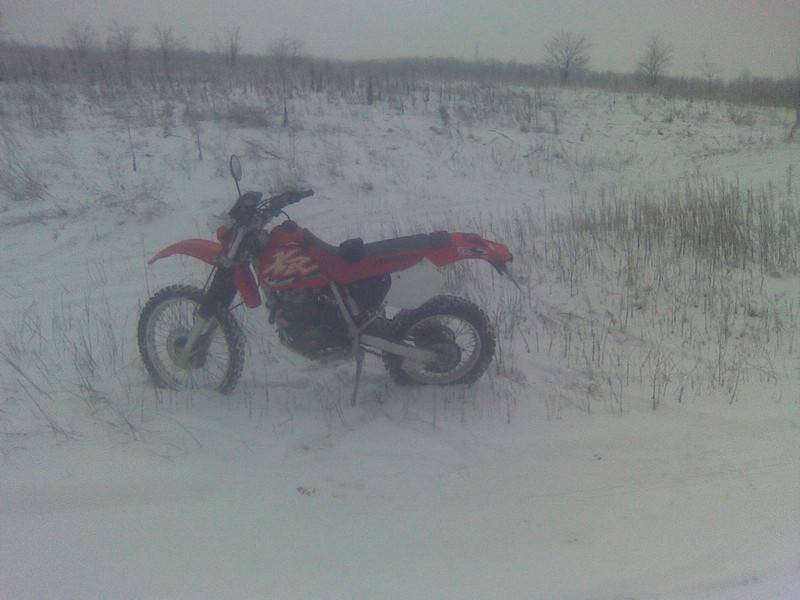 Kép