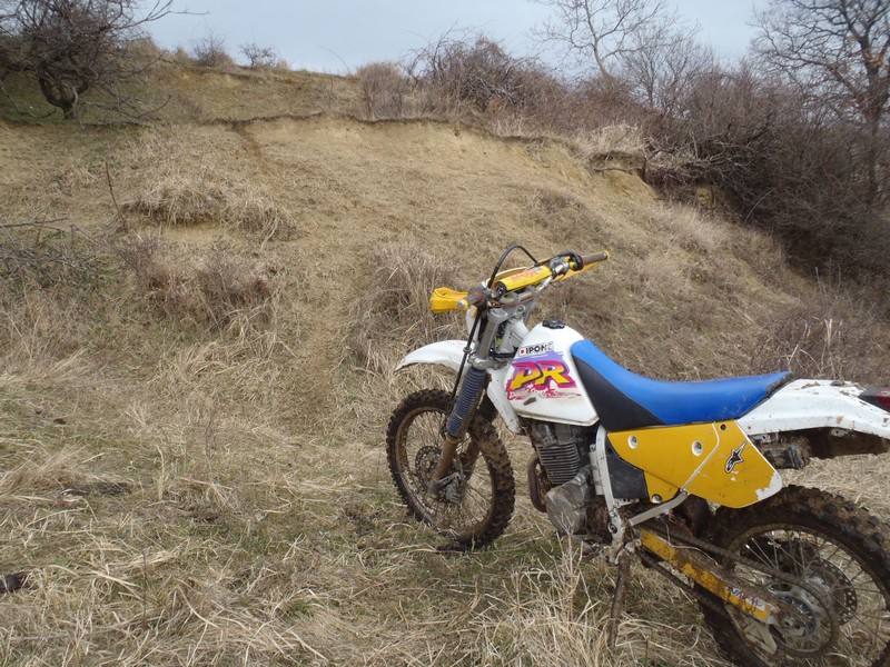 Kép