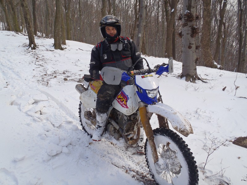 Kép