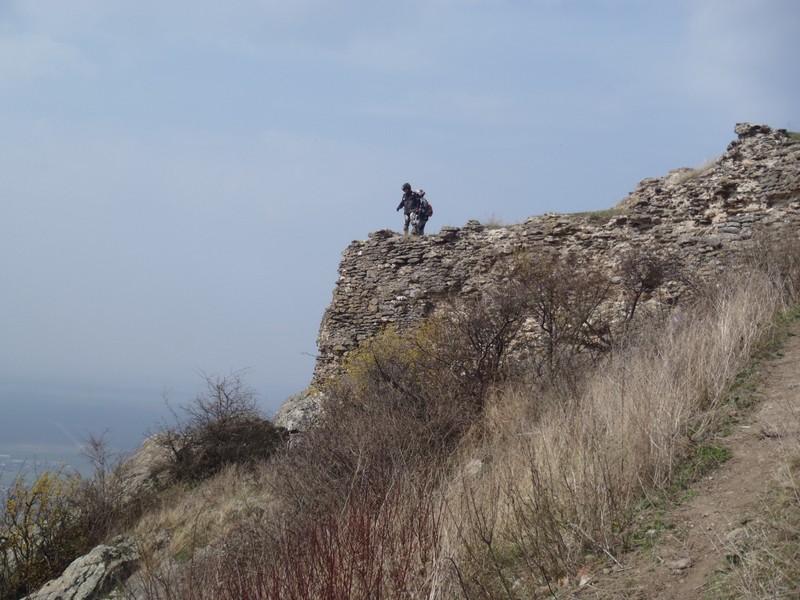 Kép
