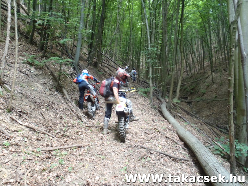 Kép