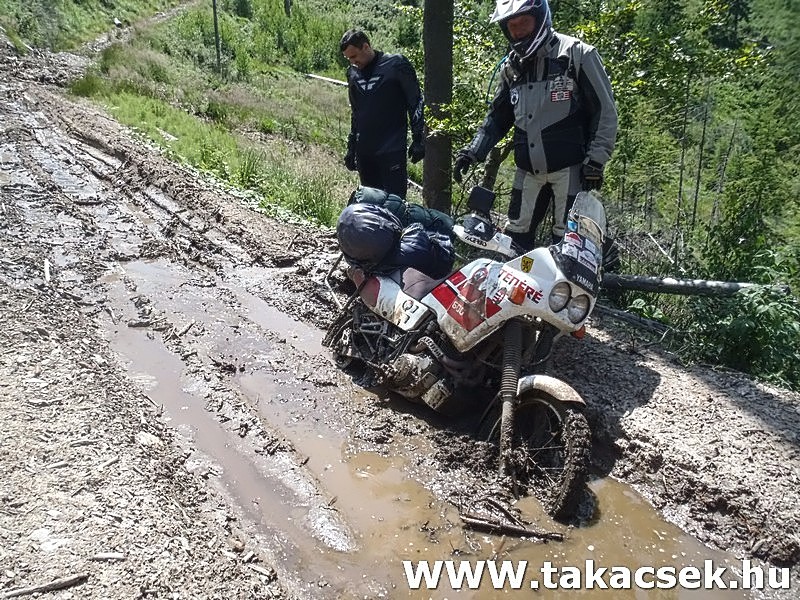Kép
