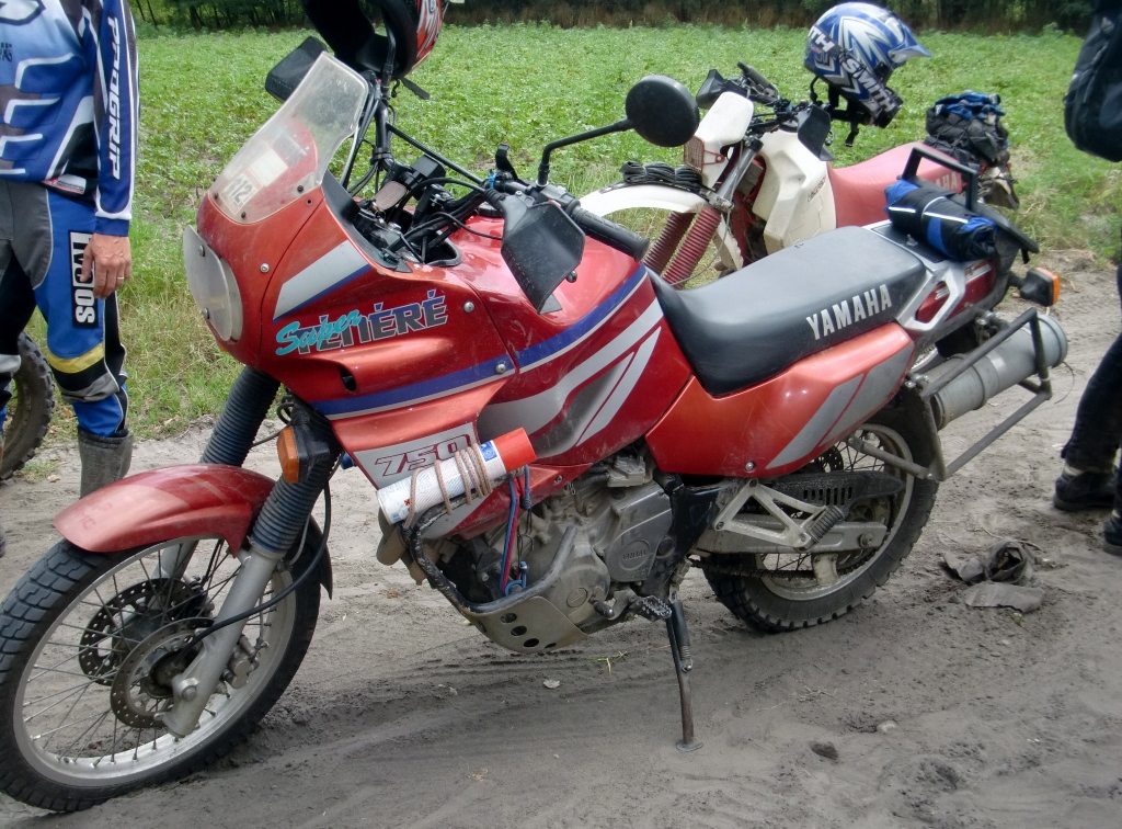 Kép