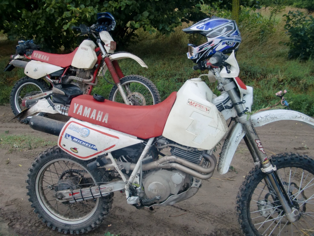 Kép