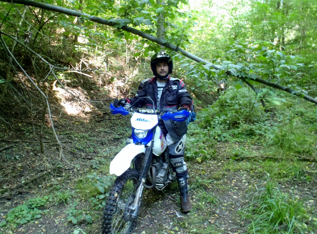 Kép