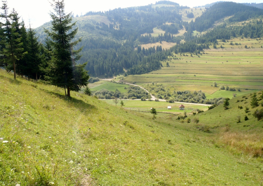 Kép