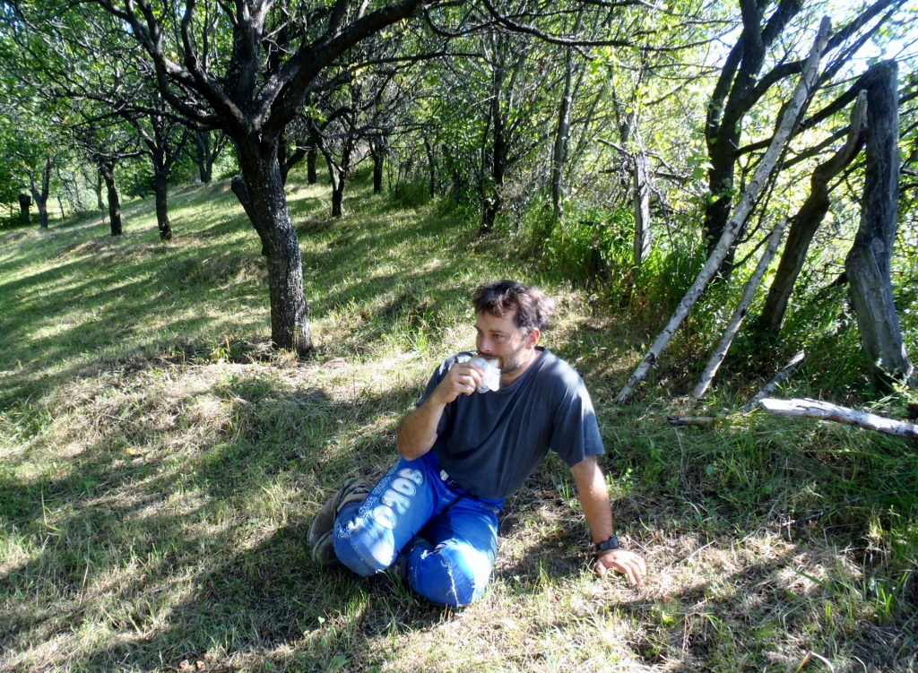 Kép