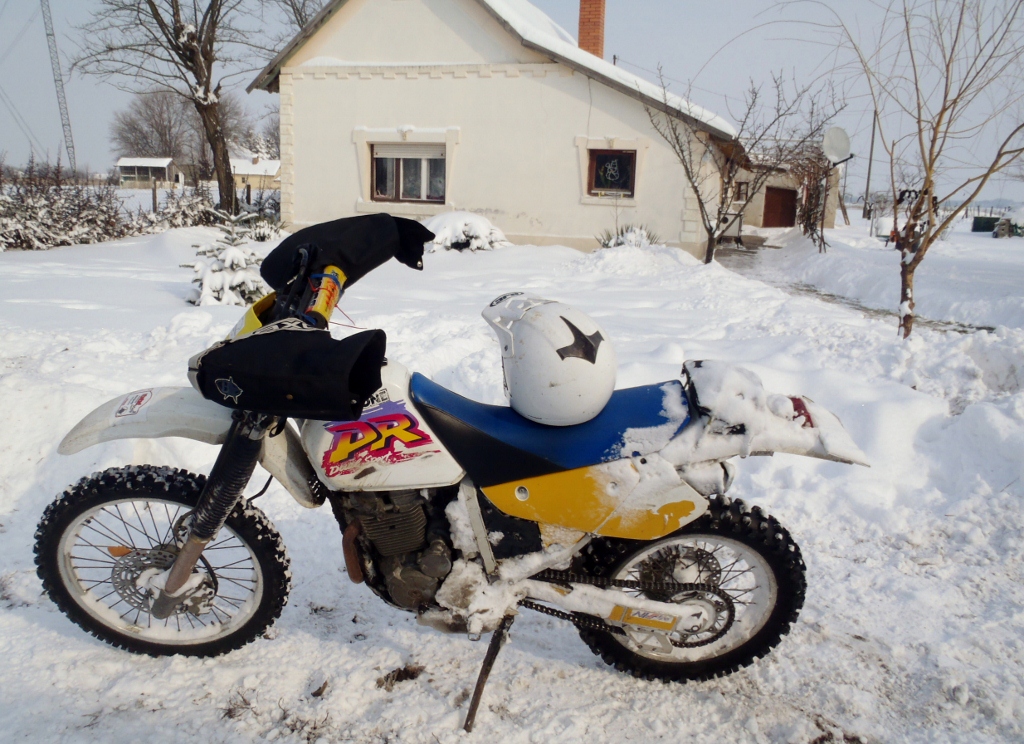 Kép